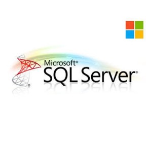 DELL SQL SvrStd 2019 SNGL OLP NL 228-11477