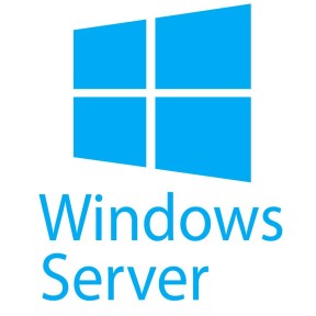 MICROSOFT WinRmtDsktpSrvcsCAL 2019 SNGL OLP NL UsrCAL